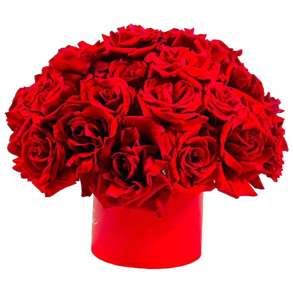 RR Luxury Flowers - Rosy Bloom Flower Bouquet